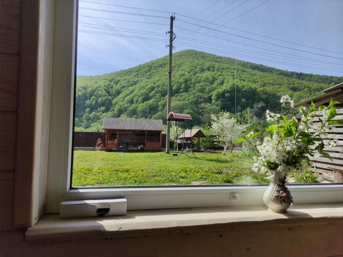 Карпати Котедж Анастасія Skole ภายนอก รูปภาพ