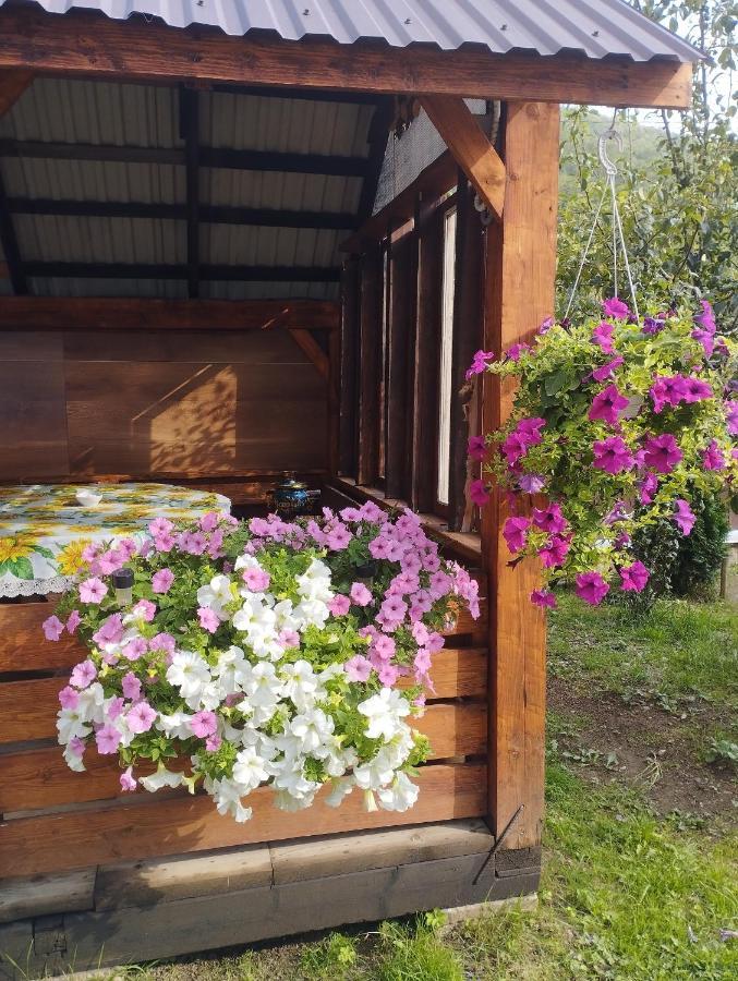 Карпати Котедж Анастасія Skole ภายนอก รูปภาพ